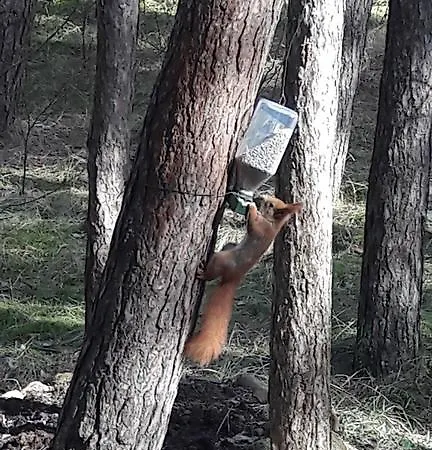 Krantas Pensjonat 3*