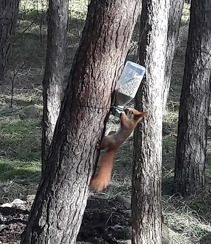 Krantas Gæstehus 3*